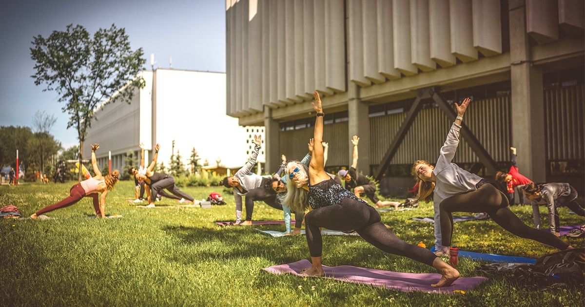 <p>Des séances gratuites de yoga en plein air sont offertes.</p>