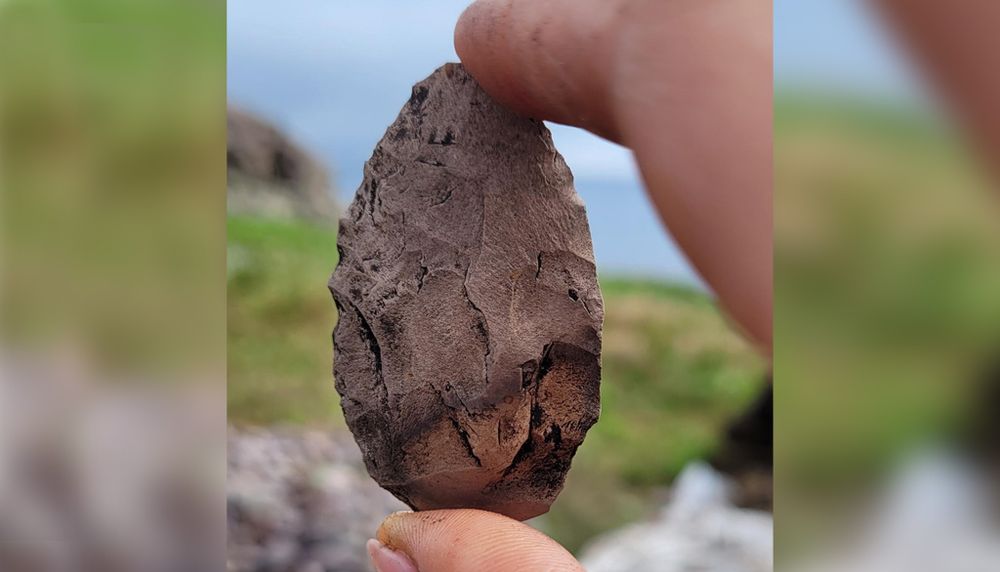 Un des nombreux artefacts en pierre taillée découverts cet été sur le chantier archéologique. Une majorité d’entre eux remontent à la culture pré-inuite, particulièrement à la phase Groswater présente en Arctique entre 800 et 100 av. J.-C.