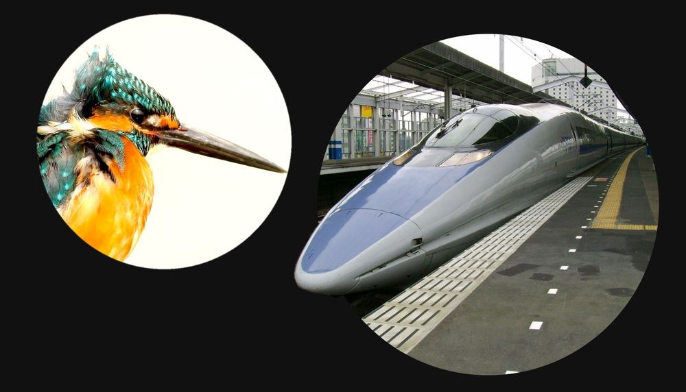Le Shinkansen, train ultrarapide pouvant atteindre 320km/h, circule dans des tunnels et sur des voies à ciel ouvert. Pour améliorer la transition entre les zones à haute et à basse vitesse, un membre de l'équipe d'ingénieurs de la West Japan Railway Company, Eiji Nakatsu, également ornithologue, a pensé s'inspirer du martin-pêcheur, un oiseau qui plonge sous l'eau – un environnement offrant plus de résistance que l'air – sans éclaboussure grâce à son bec aérodynamique. L'application du biomimétisme dans le projet du Shinkansen a permis de réduire de 15% la consommation énergétique et d'augmenter de 10% sa vitesse, tout en diminuant la nuisance sonore.