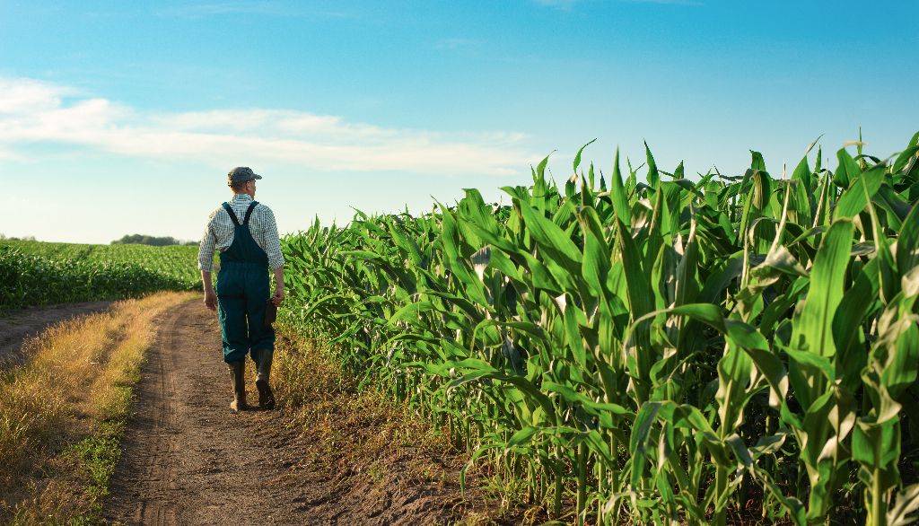 <p>Les agriculteurs jonglent avec la pénurie de main-d'œuvre, la hausse des coûts du carburant et des fertilisants et on leur demande d'assurer l'autonomie alimentaire, d'être efficaces pour exporter et de faire du développement durable.</p>