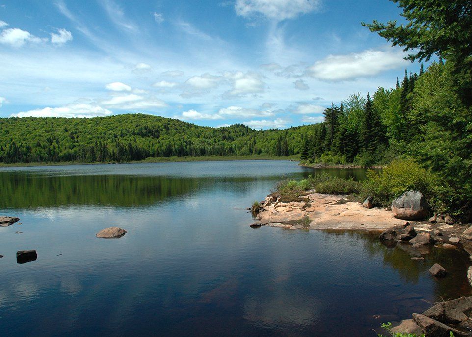 Les parcs et les aires protégées offrent une solution naturelle aux changements climatiques. Ils permettent notamment de conserver la biodiversité, de préserver les écosystèmes et d'en assurer le bon fonctionnement.