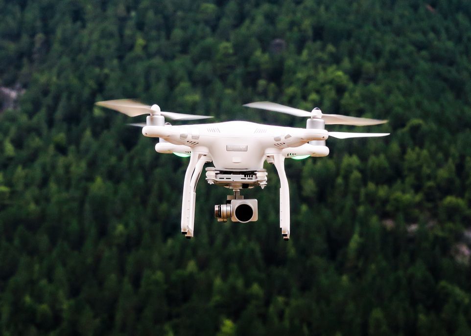 <p>L'automatisation d'opérations forestières comme les inventaires à l'aide de drones nécessite la capacité de reconnaître une espèce à partir d'images. Contrairement aux feuilles, aux fleurs et aux fruits, l'écorce est présente en permanence pendant toute la vie de l'arbre et même plusieurs mois après sa récolte, ce qui en fait une caractéristique diagnostique de choix.</p>