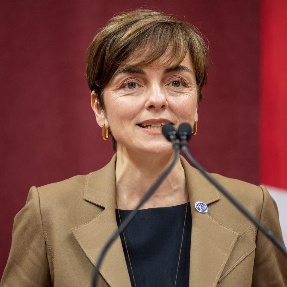 <p></p>