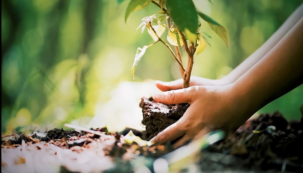 Un sondage réalisé auprès de 2000 personnes révèle que 86% des répondants croient
à l’urgence et à la nécessité d’agir pour contrer les changements climatiques.