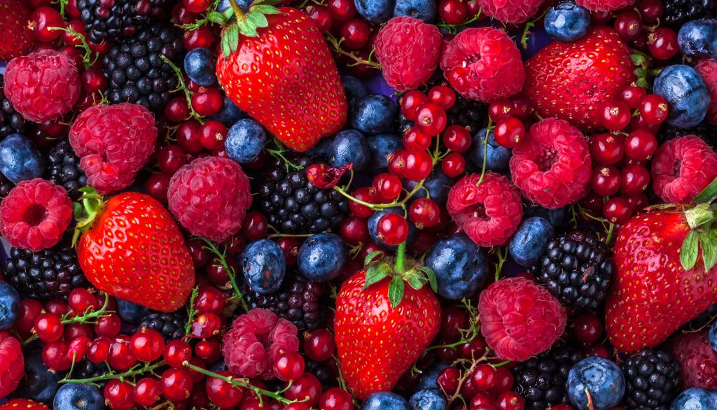<p>Les petits fruits sont l'une des plus importantes sources de polyphénols dans notre alimentation. Même si ces molécules n'entrent pas dans le cerveau, elles peuvent avoir des effets neuroprotecteurs indirects.</p>