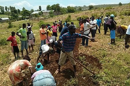 Formation sur la culture de l'arachide réalisée par les agronomes haïtiens de l'équipe du projet AKOSAA. Juin 2014.
