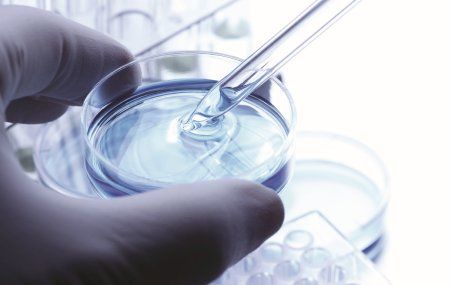 En 2012, 46% du financement total de la recherche est allé aux sciences de la santé.