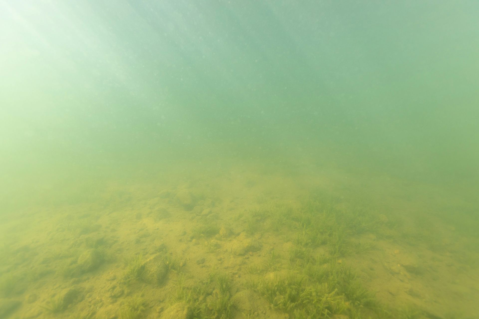 Nous devons nous pencher sur l’impact des changements climatiques et de l’activité humaine sur nos lacs.