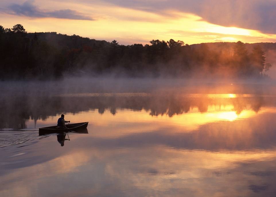 L'ouvrage de Warwick Vincent fait découvrir les composantes physiques, chimiques et biologiques des lacs. Il traite également de la place de l'humain dans cet écosystème ainsi que des effets des activités humaines sur l'avenir de ces milieux.