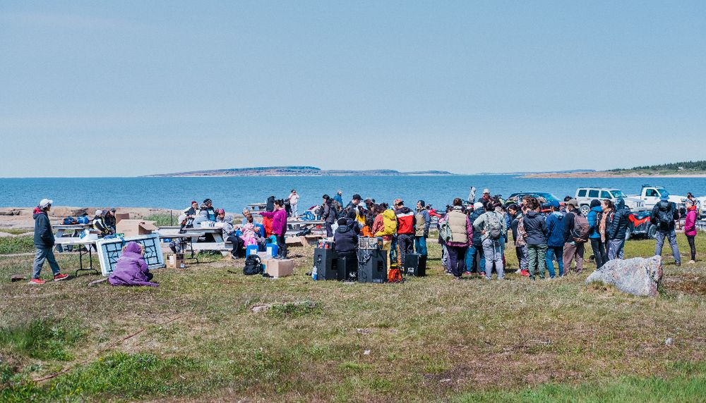 <p>Paysage dans lequel les participants à l'école d'été ont vécu une immersion nordique, aux abords de la baie d’Hudson.</p>