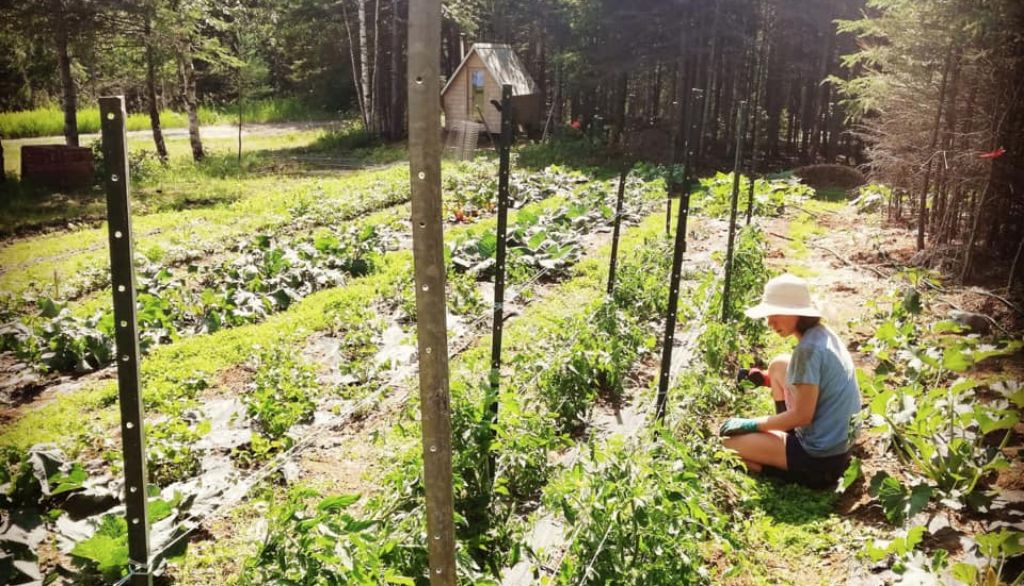 <p>Céline Vaneeckhaute a toujours eu une passion pour les sciences, la nature ainsi que la protection de l’eau et de l’environnement. </p>