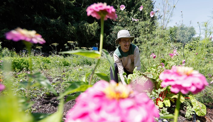 La passion pour les fleurs du coordonnateur étudiant Julien Roy transparaît dans leur forte présence au jardin.