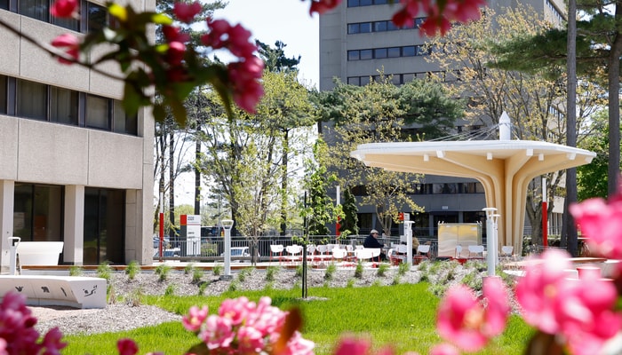 La place Jeanne-Lapointe au printemps