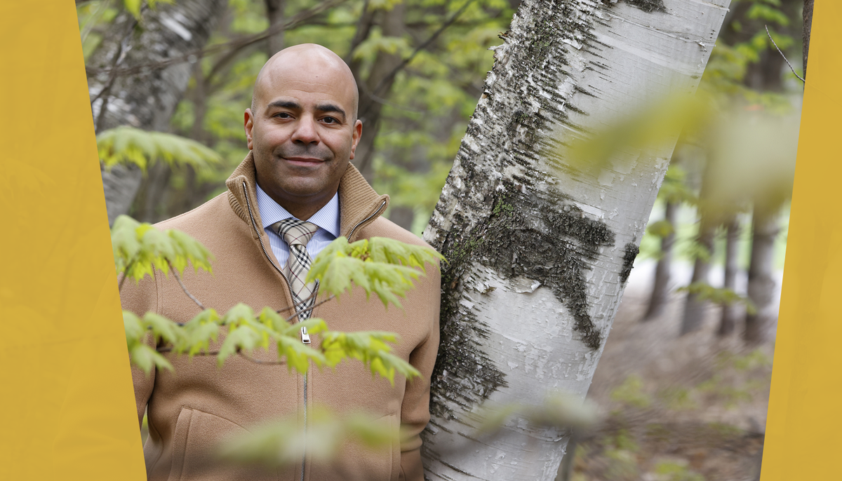 Le bouleau libère de grandes quantités de pollen au printemps, ce qui peut faire réagir le système immunitaire de certaines personnes de façon excessive, explique Jean-Nicolas Boursiquot, professeur de clinique à la Faculté de médecine.