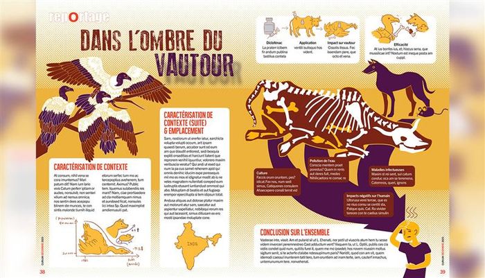 L'illustration de l'étudiante Xin Ting Zhou en collaboration avec Curium vulgarise les effets de la disparition du vautour en Inde sur l'écosystème et la santé humaine.