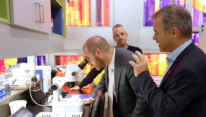 Jérôme Dupras observe des nématodes C. elegans, utilisés dans un projet comme modèle de criblage pour évaluer l'impact de certains microbiotes sur l'accumulation de masse grasse, aux côtés de Frédéric Picard et de Mathieu Laplante, directeur de recherche au Centre de recherche IUCPQ-ULaval.