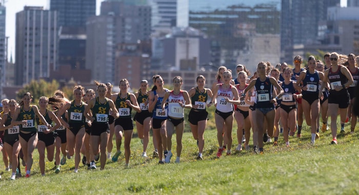 Le McGill Invitational, une course de cross-country dans le Parc du Mont-Royal