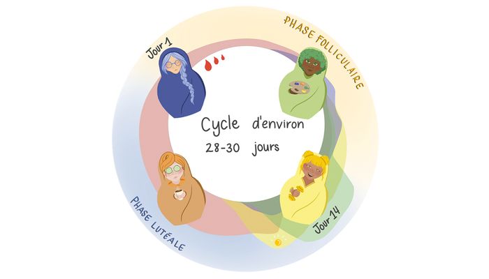 Marie-Pier Pelletier a illustré les différents états du cycle menstruel en rappelant les quatre saisons par des poupées russes. L’effervescence de la phase folliculaire représente le printemps. L’apogée de l’ovulation, l’été. Vient ensuite la phase lutéale: les feuilles tombent, on se sent un peu déprimée, c’est l’automne. Finalement, les menstruations arrivent. On s’encabane, on enfile de gros bas, on lit un roman au coin du feu… comme en hiver.