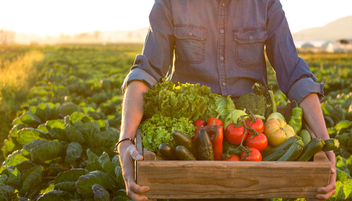 Jusqu’au 16 novembre, il est possible de soumettre une candidature pour la cohorte 2026 du Camp d’entraînement agricole, coordonné par la Faculté des sciences de l'agriculture et de l'alimentation.