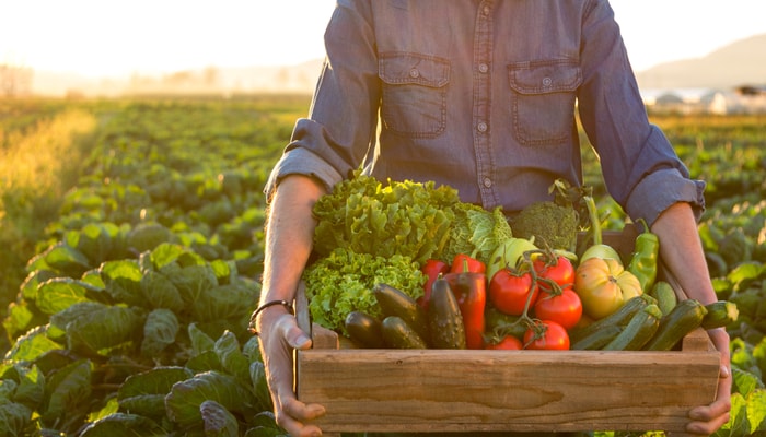 Jusqu’au 16 novembre, il est possible de soumettre une candidature pour la cohorte 2026 du Camp d’entraînement agricole, coordonné par la Faculté des sciences de l'agriculture et de l'alimentation.