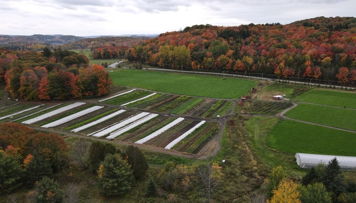 Bien que les forêts aménagées du Québec soient un puits de carbone, l’agriculture, la perturbation des milieux humides et les produits du bois jetés aux dépotoirs annulent présentement l’effet des forêts.