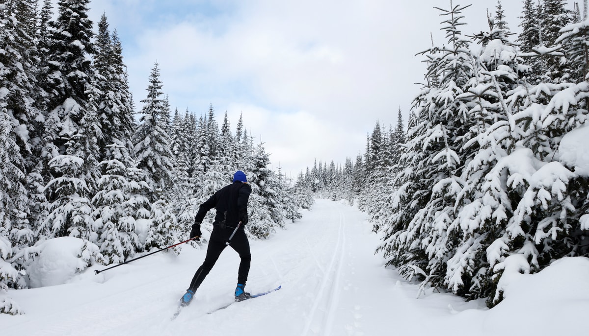 La saison hâtive de ski de fond à la Forêt Montmorency débutera dès que les conditions météorologiques le permettront et se poursuivra jusqu'au début janvier.