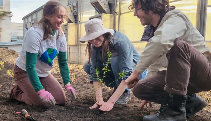 Le projet est le fruit d'un travail d'équipe réunissant la Faculté de foresterie, de géographie et de géomatique, le Service des immeubles et l'association étudiante Projet Chlorophylle.