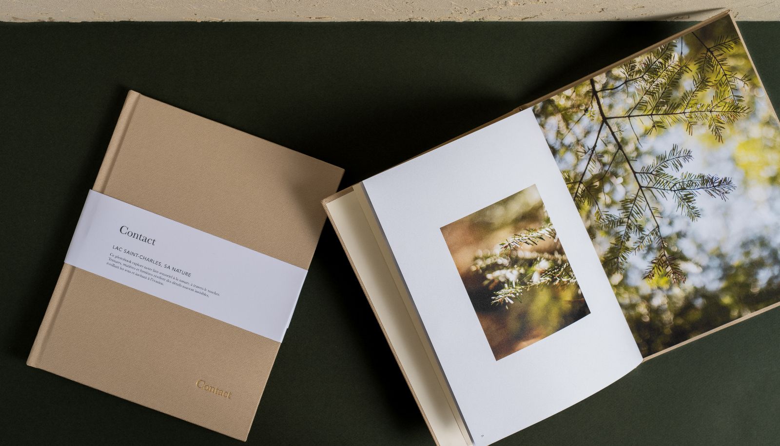 Contact, le livre photo créé par Ellie-Jade Côté, explore notre lien sensoriel à la nature, à travers le toucher. Textures, matières et lumières révèlent des détails souvent invisibles, éveillant les sens et invitant à l'évasion.