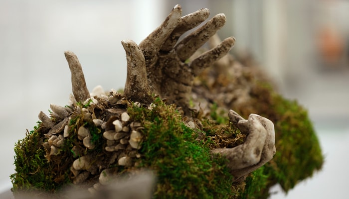 Lucile Berthelot apprécie particulièrement cette sculpture de Raphaëlle Bitar, montrant le corps qui retourne dans la nature.