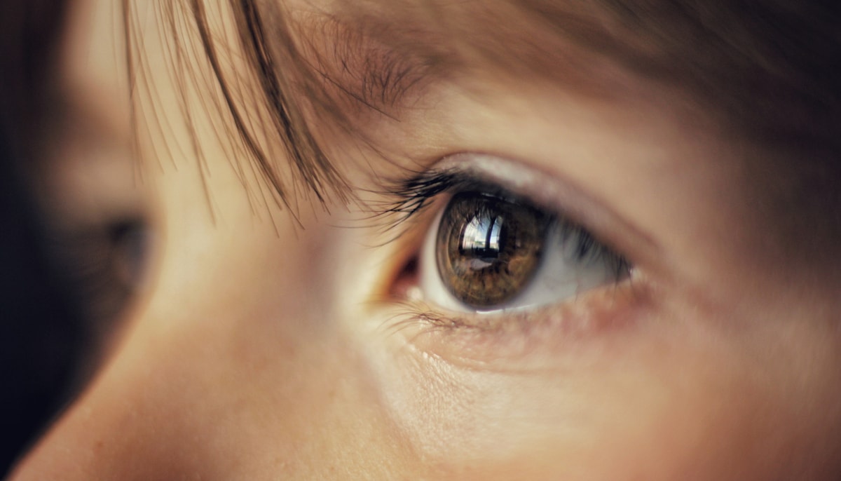 Les cellules de la rétine se forment à partir des mêmes cellules que celles du cerveau et du système nerveux central.