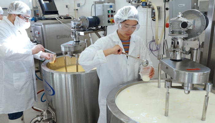 L'étudiant Cédric Nolet et l'étudiante Myriam Dumont prennent des échantillons pour déterminer le pH du lait et suivre le processus d'acidification par les ferments.