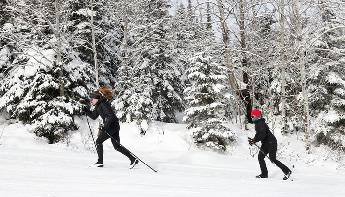 La saison hâtive de ski à la Forêt Montmorency se poursuivra jusqu'au début janvier.