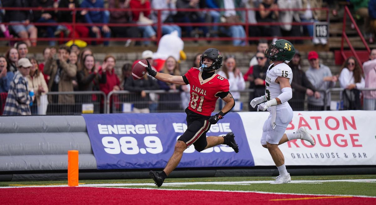 Olivier Cool, receveur du club de football Rouge et Or de l'Université Laval, lors du match du 7 septembre contre le Vert et Or de l'Université de Sherbrooke.