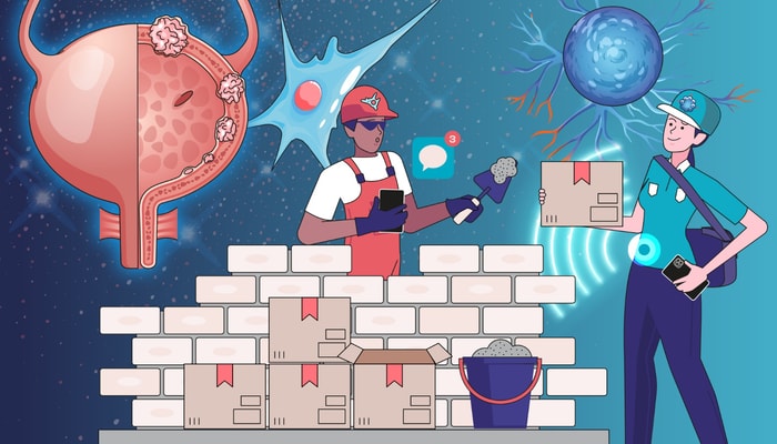 À mesure que le cancer progresse, la matrice extracellulaire devient de plus en plus rigide. Cela favorise la prolifération des cellules cancéreuses, les rend plus résistantes aux traitements et facilite la formation de métastases. Il est donc primordial d'en tenir compte dans les modèles de cancer.