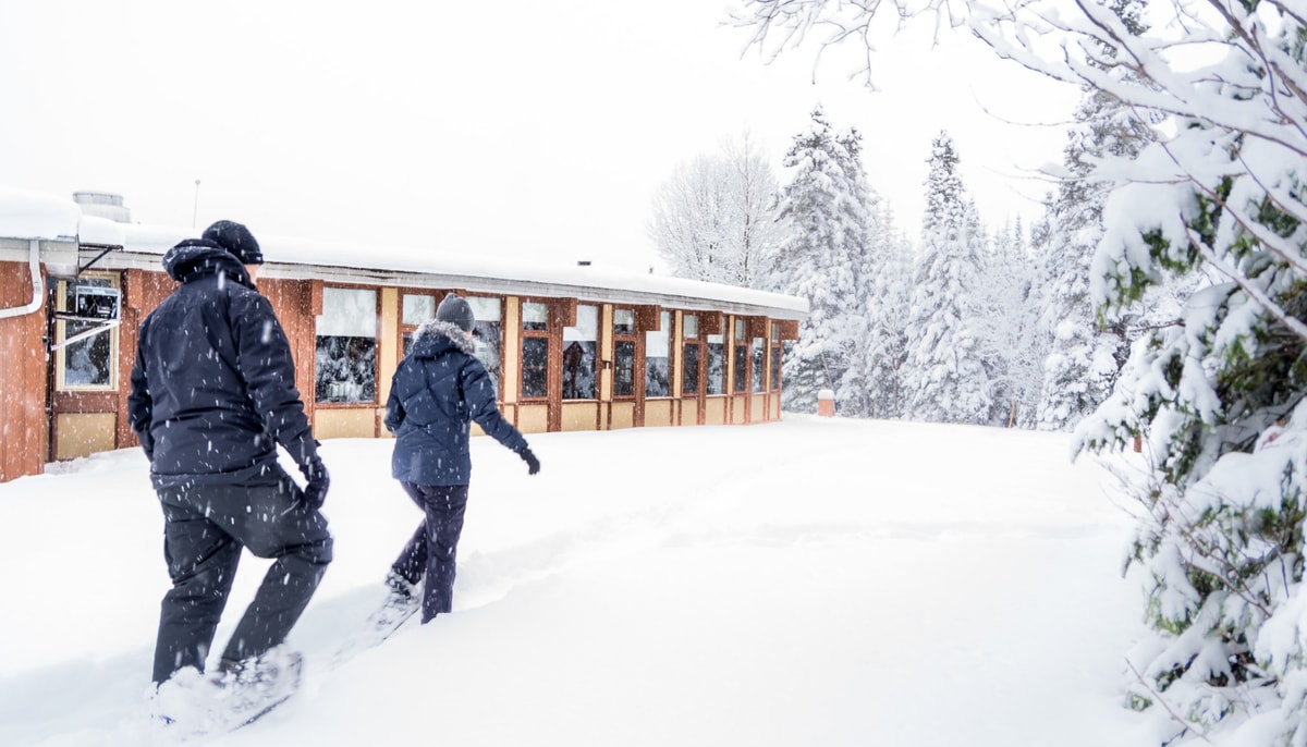 Le 30 janvier prochain, participez à une journée découverte à la Forêt Montmorency.