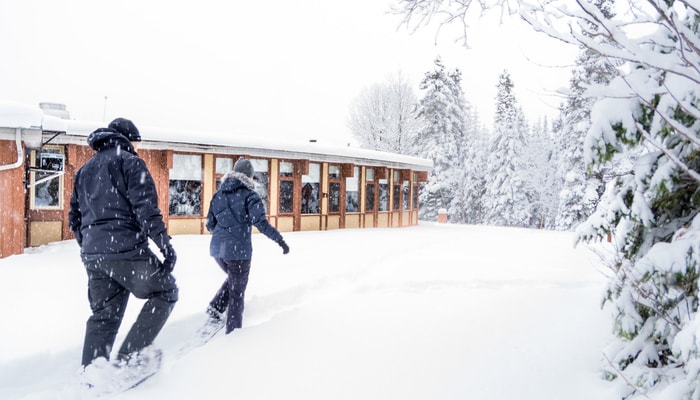 Le 30 janvier prochain, participez à une journée découverte à la Forêt Montmorency. 