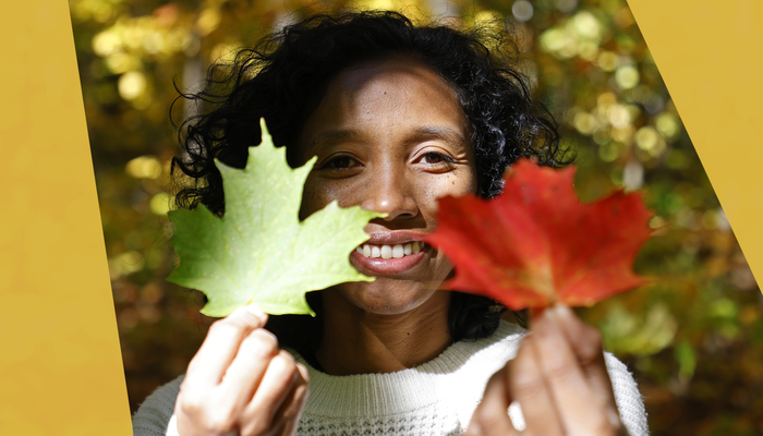 Avec la lumière du soleil qui diminue, la photosynthèse ralentit et la chlorophylle se dégrade, explique Ravosoa Ramaroson. Le vert s’estompe et laisse apparaître les teintes chaudes des autres pigments.