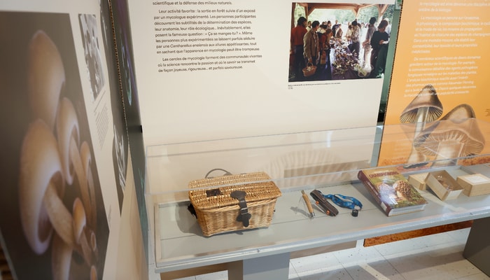 La section sur la cueillette montre un panier de récolte en osier, un couteau à champignon, une loupe pour l'observation, un ouvrage sur les champignons du Québec et de l'est du Canada, et des champignons lyophilisés, c'est-à-dire séchés dans l'azote liquide pour les préserver.