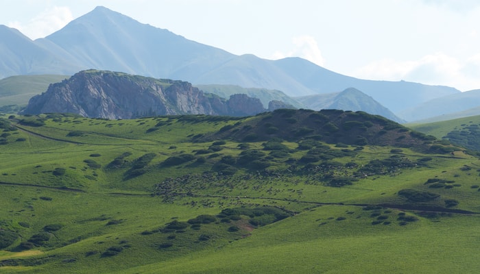 Un troupeau de moutons traverse un paysage du Kirghizistan.