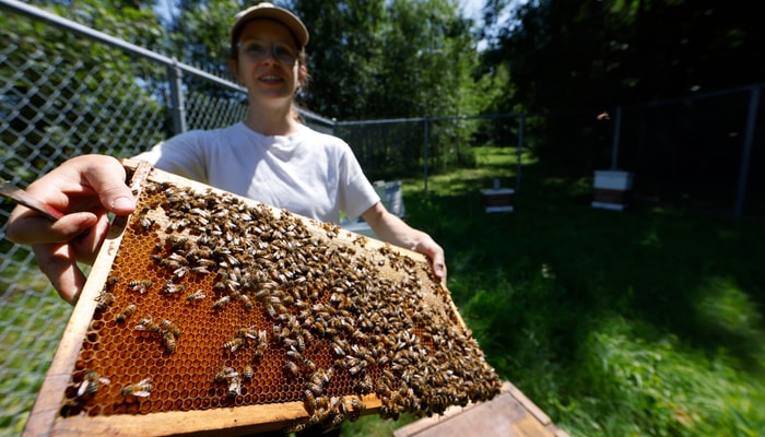 La professionnelle de recherche Marie-Lou Morin, au Rucher pédagogique