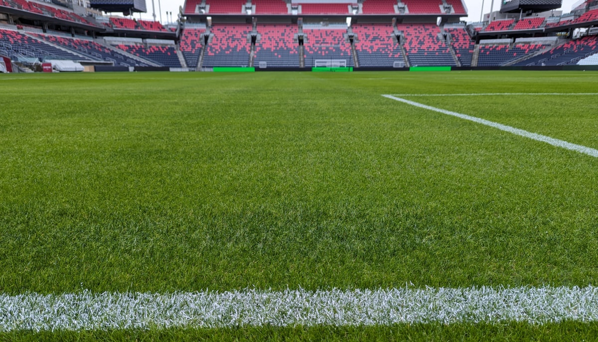 «Pour la Coupe du monde, un gazon naturel est obligatoire, mais pas n'importe lequel. Il est notamment renforcé avec des fibres synthétiques pour améliorer sa résistance au déchirement, une réalité inévitable dans un tournoi de cette intensité», révèle Guillaume Grégoire, professeur à la Faculté des sciences de l'agriculture et de l'alimentation.