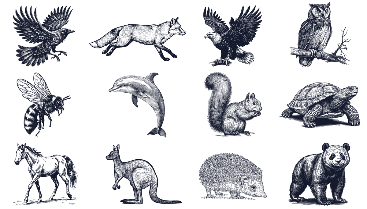 Les 12 profils en IA, liés à un animal, permettent de voir l’état de l'apprentissage, sans parler de niveau fort ou faible.