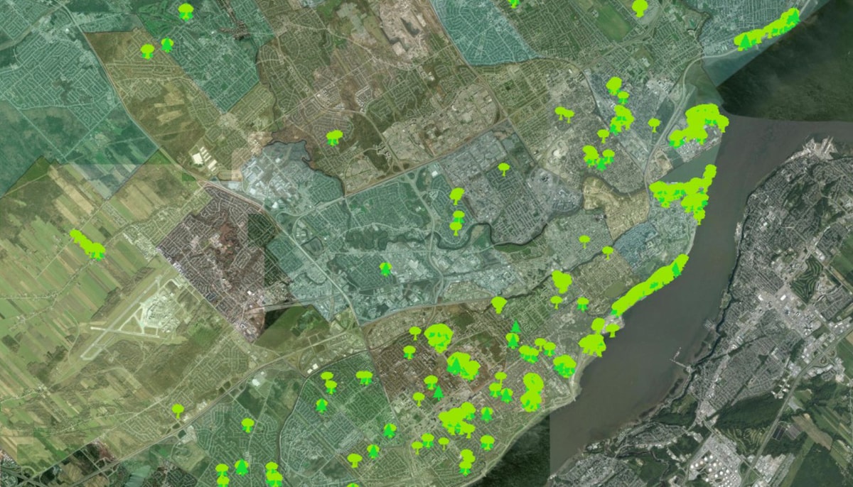 Cette carte interactive vise à mieux connaître les arbres plantés sur les terrains privés de Québec et à soutenir la gestion durable de la forêt urbaine grâce à la participation de citoyennes, citoyens et organisations.