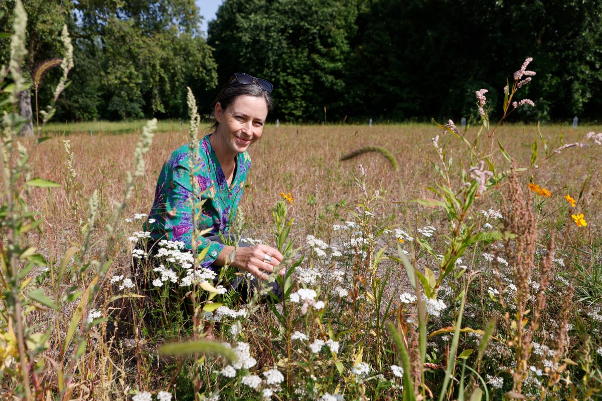 Angela Eve Marsh avec les premières fleurs apparues à l'été 2026