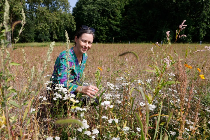 Angela Eve Marsh avec les premières fleurs apparues à l'été 2026