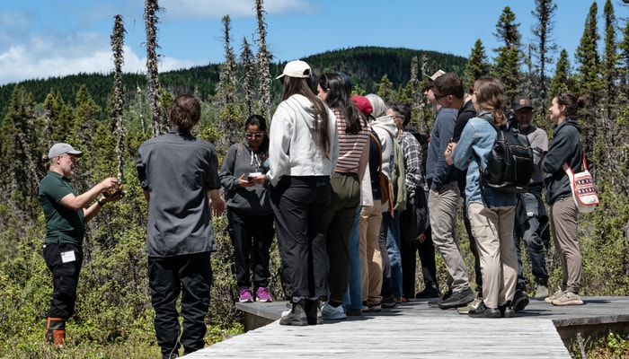 Un aperçu de la journée de formation sur le terrain à la Forêt Montmorency