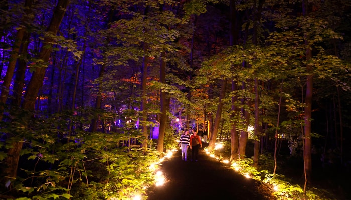 Un parcours lumineux serpentait à travers les boisés, guidant les festivaliers jusqu'aux DJ.
