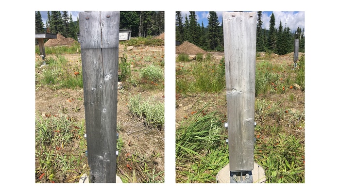 Ce montage expérimental à la Forêt Montmorency a permis de voir la différence entre deux poutres de bois après quatre ans d'exposition aux intempéries. Celle de gauche n'a pas été traitée et celle de droite a reçu le traitement mis au point à l'Université Laval.