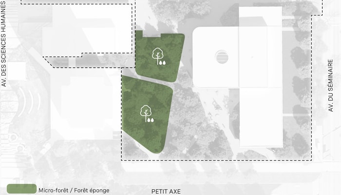 Plan schématique du projet de renaturation au pied de la tour Jeanne-Lapointe 