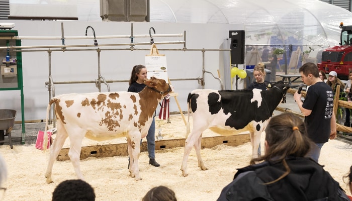 Dans l'aire de démonstration, des bénévoles expliquent les principes des jugements d'animaux au public.
